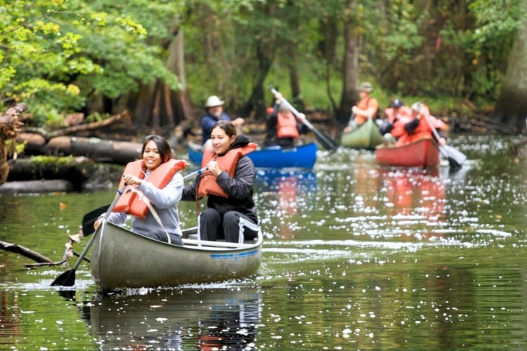 People canoeing together down a wooded river at a campground, wearing life vests and navigating through trees and calm water