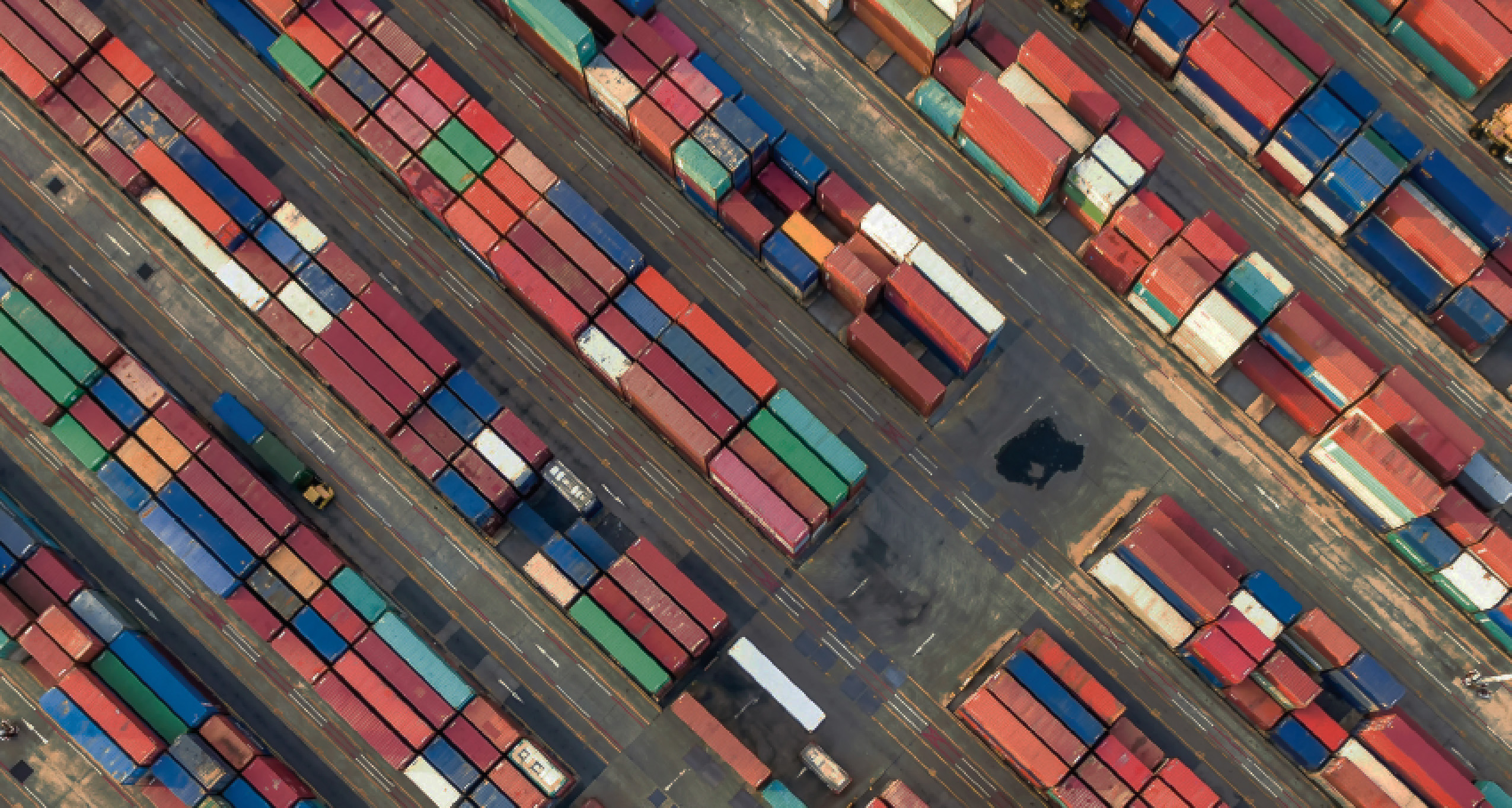 Survey_Report_2019_Transportation_and_Logistics