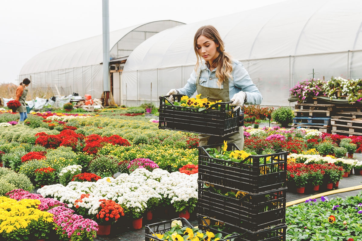 outdoor-communications-case-study-woldhuis-farms